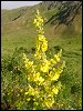 [A�mak i�in t�klay�n]