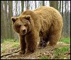 [A�mak i�in t�klay�n]